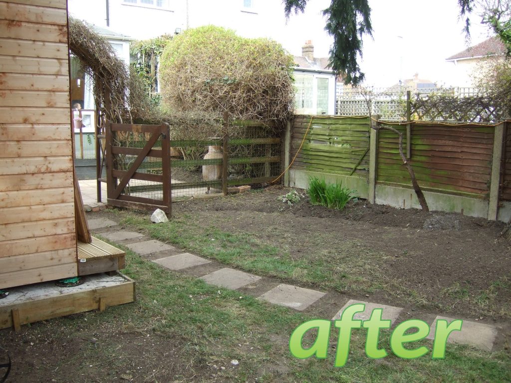 Garden after clearance